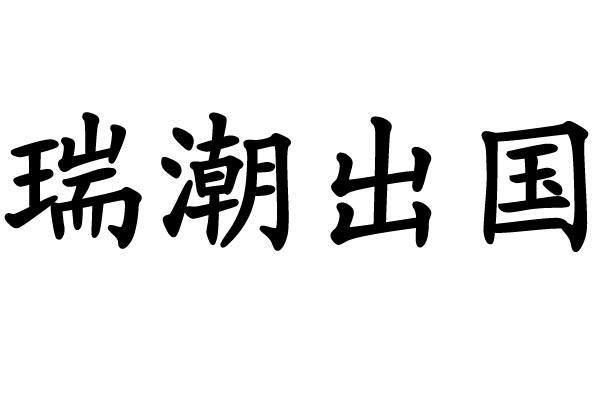 重庆瑞潮出国商务咨询与瑞潮网络 双轮驱动的跨境服务生态