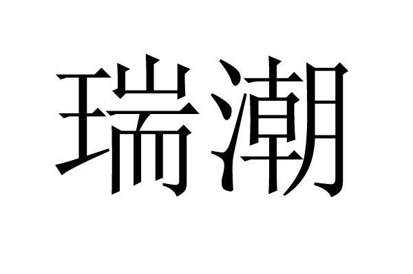 瑞潮网络与重庆瑞潮出国商务咨询 数字化服务与跨境出行的协同发展